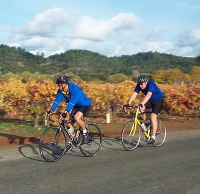 Bicyclists near Healdsburs CA