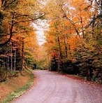 blogging about cottage life in Tennessee and England