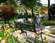 Fountain Madrona in Healdsburg CA