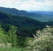 Mountain Scenery around Black Mountain NC