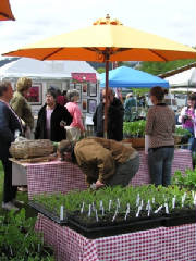 Orcas Island Farmers Market