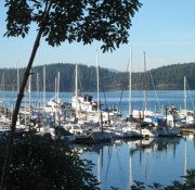 Orcas Harbor