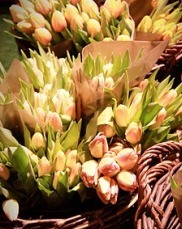 flower market in Bologna Italy