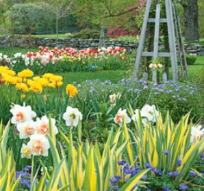 designing your cottage garden