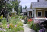 Pocket neighborhood cottages